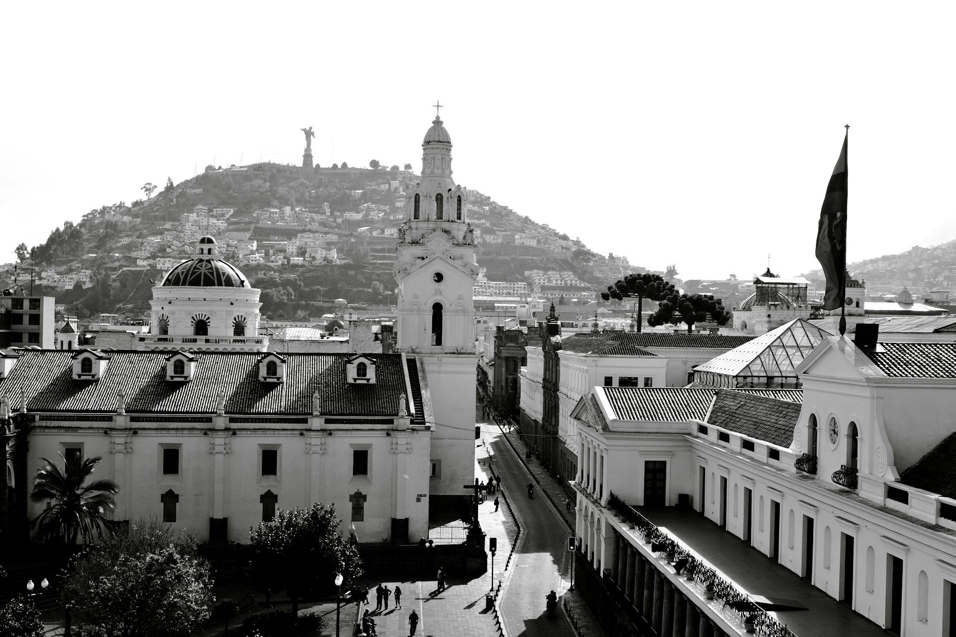 pexels-davegarcia-32497226